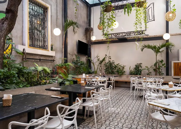 Mx Condesa Cdmx, Trademark Collection By Wyndham Hotel